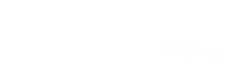auto-spa-logo-white
